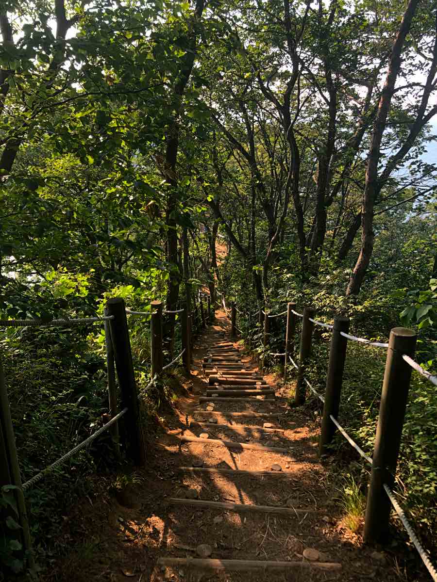 hiking trail in daebudo