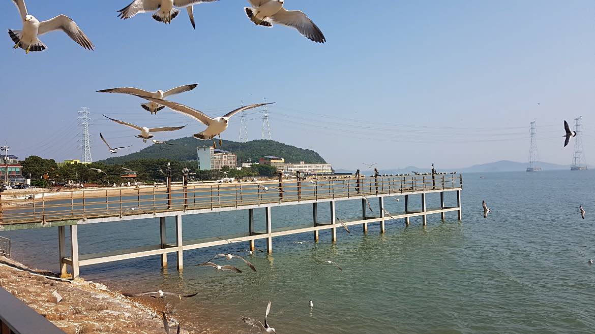 islands in south korea